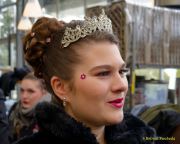 Gleisenia 2026 - Black Secrets bei Pflanzen Koelle