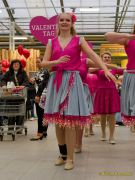 Gleisenia 2026 - Black Secrets bei Pflanzen Koelle