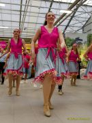 Gleisenia 2026 - Black Secrets bei Pflanzen Koelle