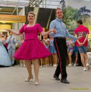 Gleisenia 2026 - Black Secrets bei Pflanzen Koelle