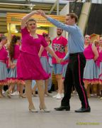 Gleisenia 2026 - Black Secrets bei Pflanzen Koelle