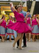 Gleisenia 2026 - Black Secrets bei Pflanzen Koelle