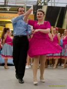 Gleisenia 2026 - Black Secrets bei Pflanzen Koelle