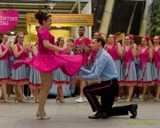 Gleisenia 2026 - Black Secrets bei Pflanzen Koelle