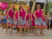 Gleisenia 2026 - Black Secrets bei Pflanzen Koelle