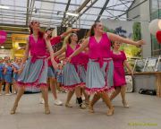 Gleisenia 2026 - Black Secrets bei Pflanzen Koelle