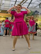 Gleisenia 2026 - Black Secrets bei Pflanzen Koelle