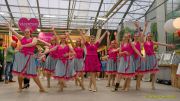 Gleisenia 2026 - Black Secrets bei Pflanzen Koelle