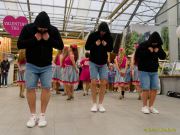 Gleisenia 2026 - Black Secrets bei Pflanzen Koelle