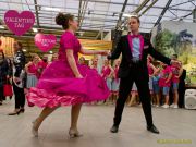 Gleisenia 2026 - Black Secrets bei Pflanzen Koelle