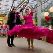 Gleisenia 2026 - Black Secrets bei Pflanzen Koelle