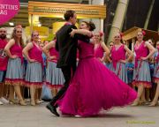 Gleisenia 2026 - Black Secrets bei Pflanzen Koelle