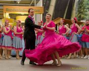 Gleisenia 2026 - Black Secrets bei Pflanzen Koelle