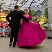 Gleisenia 2026 - Black Secrets bei Pflanzen Koelle