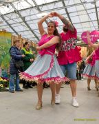 Gleisenia 2026 - Black Secrets bei Pflanzen Koelle