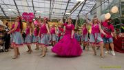 Gleisenia 2026 - Black Secrets bei Pflanzen Koelle