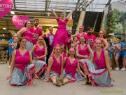 Gleisenia 2026 - Black Secrets bei Pflanzen Koelle