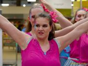 Gleisenia 2026 - Black Secrets bei Pflanzen Koelle