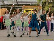 Gleisenia 2025 - Hachinger Flöhe + Nightflyers bei Pflanzen Koelle