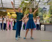 Gleisenia 2025 - Hachinger Flöhe + Nightflyers bei Pflanzen Koelle