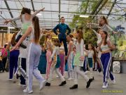 Gleisenia 2025 - Hachinger Flöhe + Nightflyers bei Pflanzen Koelle